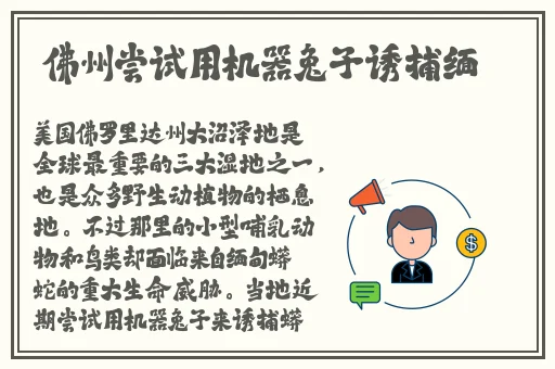 ****爰片免费免免**
